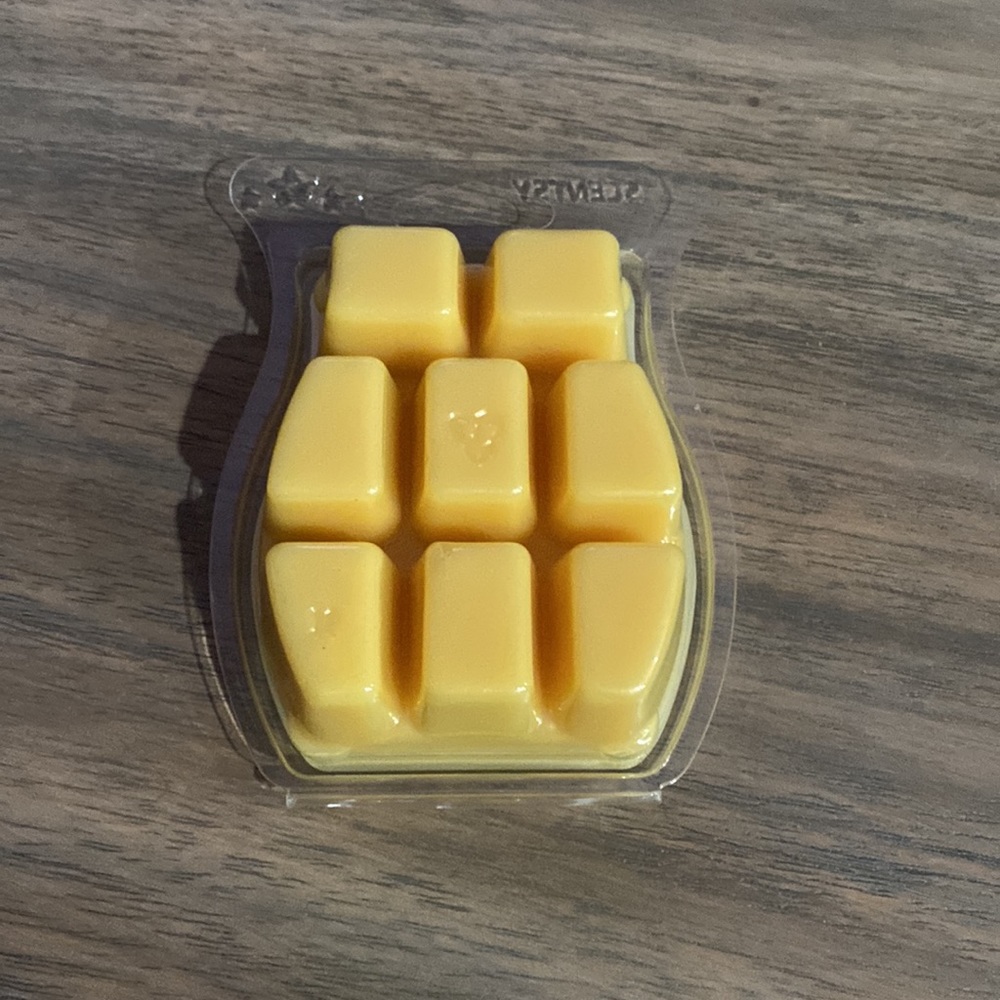 New Simply Vanilla Scentsy Bar - Picture 2 of 2